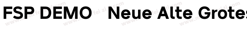 FSP DEMO   Neue Alte Grotesk字体转换